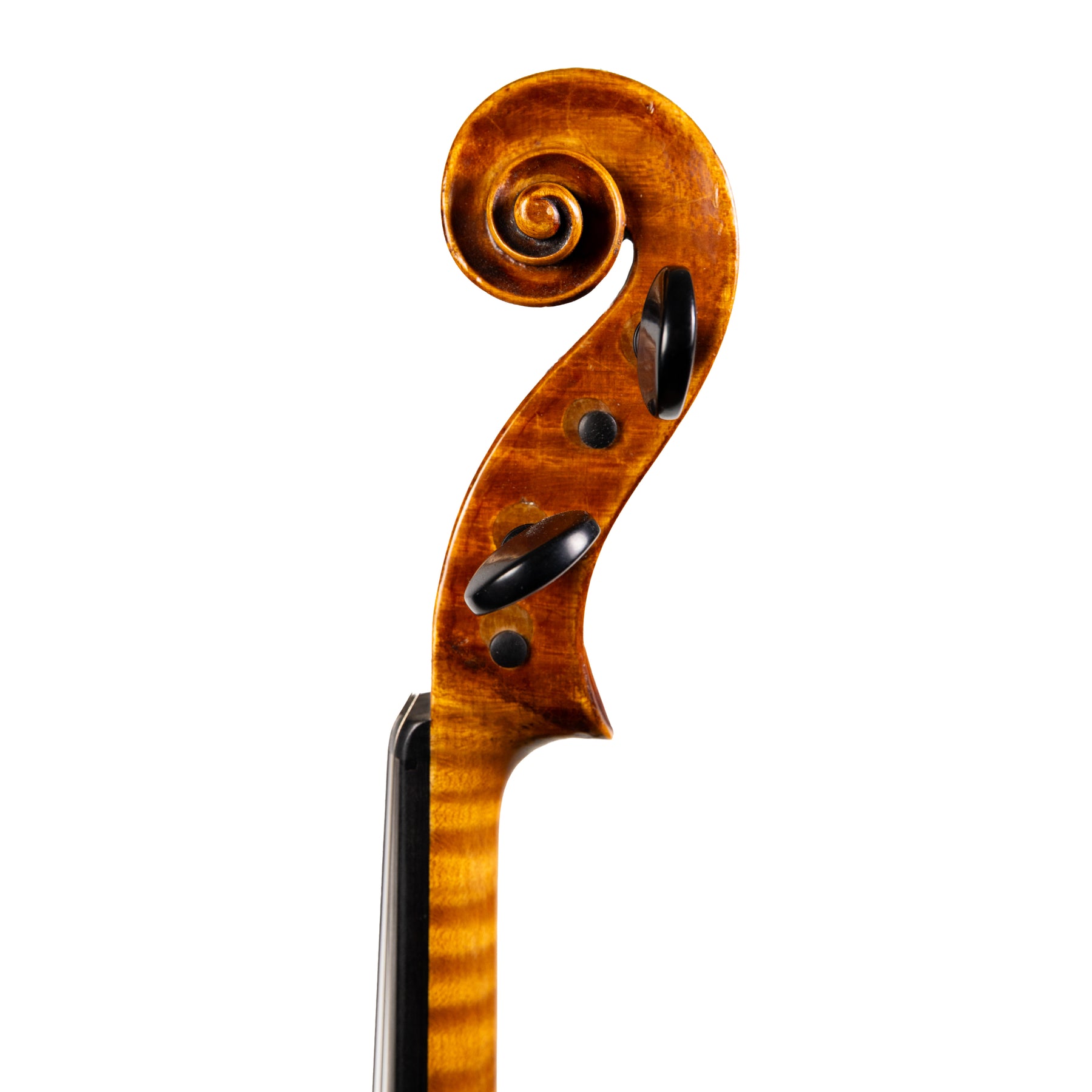 Carlo Schmidl Workshop Violin, Trieste, c.1910 w/ Certificate