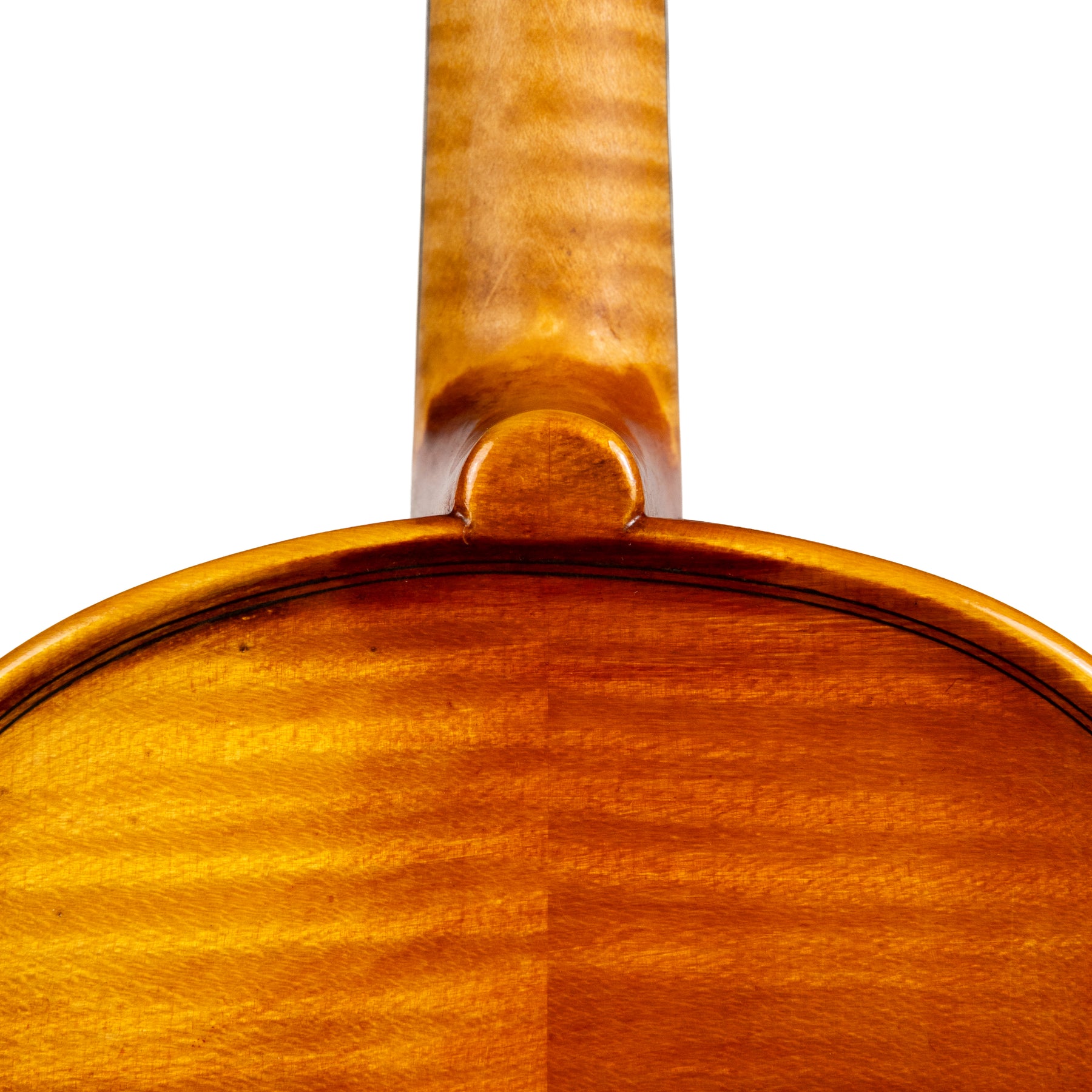 Michael Bean Workshop Violin, Ann Arbor, 2025