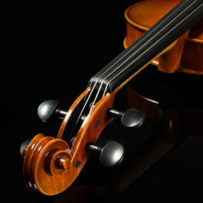 Franz Hoffmann Concert Violin Outfit