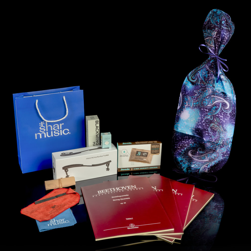 Professional Essentials Violin Gift Bundle at Shar Music®