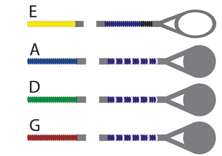 Warchal Brilliant D String Set