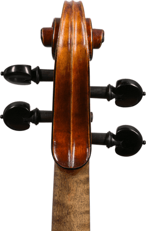 Pierre Joseph Hel Violin, Lille, 1894