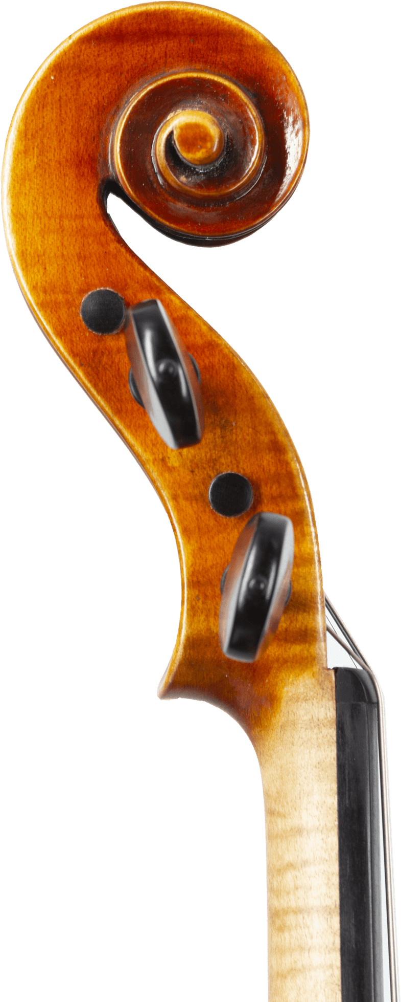 Karl Joseph Schneider® Legacy 1718 Stradivari Violin - Shar Music Karl Joseph Schneider® Legacy 1718 Stradivari Violin - Shar Music