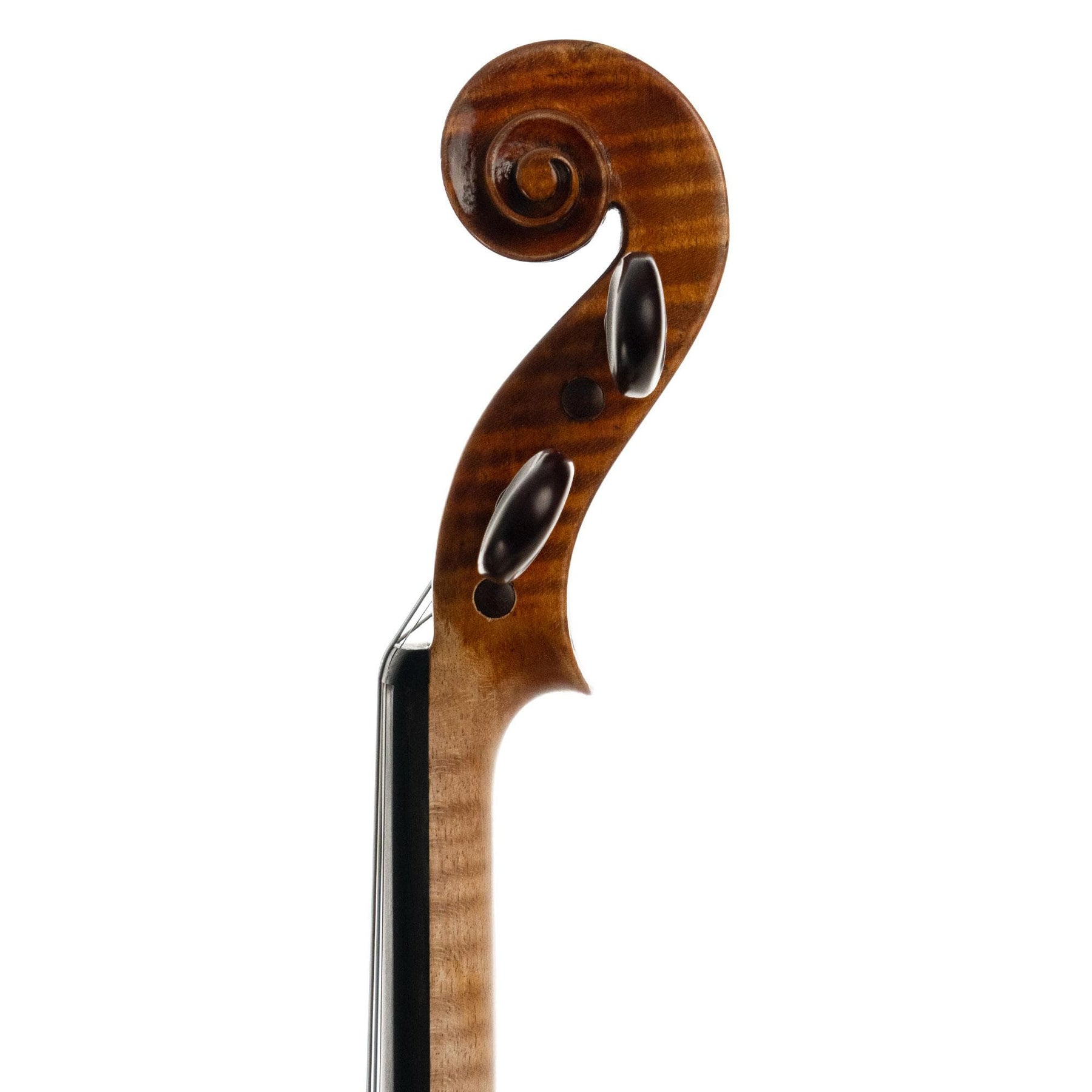 SOLD OUT - Shar Custom Series Legende Violin