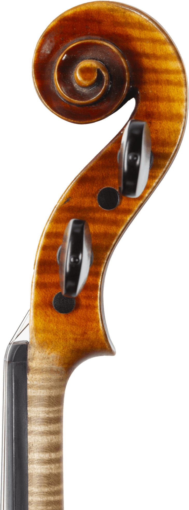Karl Joseph Schneider® Legacy 1718 Stradivari Violin - Shar Music Karl Joseph Schneider® Legacy 1718 Stradivari Violin - Shar Music