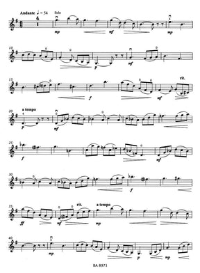 Rieding, Oskar - Violin Concerto in B Minor, Op 35 - Violin and Piano - edited by Kurt Sassmannshaus - Bärenreiter