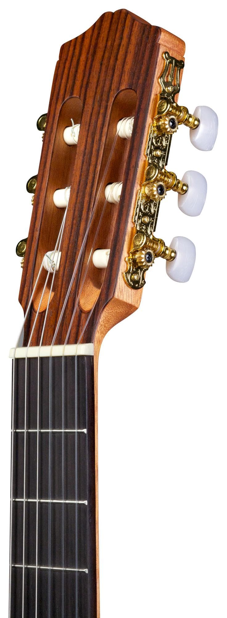 Protege Classical Guitar