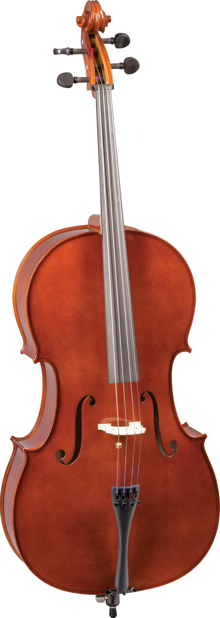 Blemished Franz Hoffmann Danube Cello