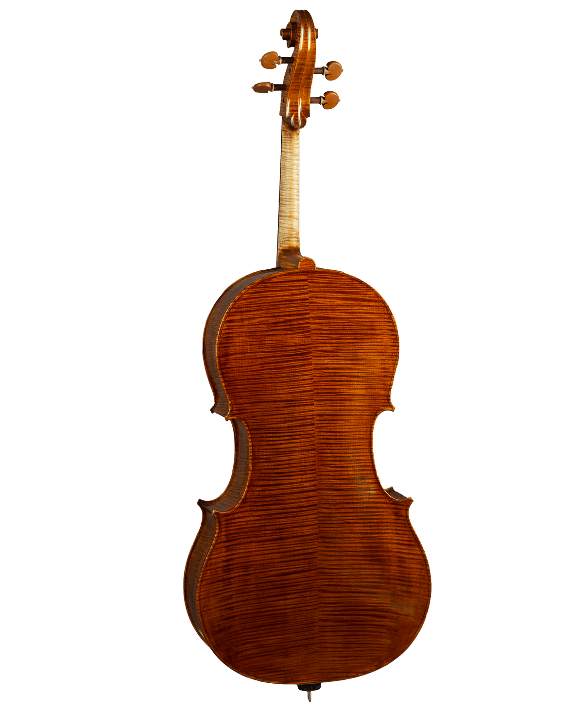 Stefano Trabucchi Cello, Cremona, 2019