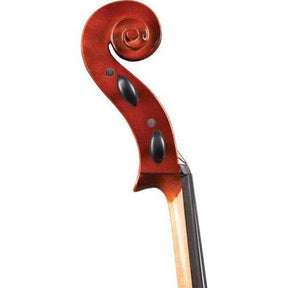 Blemished Franz Hoffmann Amadeus Cello