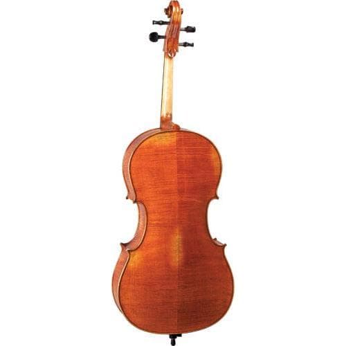 Blemished Franz Hoffmann Concert Cello