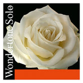 Pirastro Wondertone Solo Violin E-String - Advanced Steel