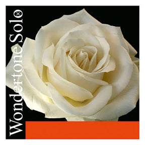 Pirastro Wondertone Solo Violin E-String - Advanced Steel