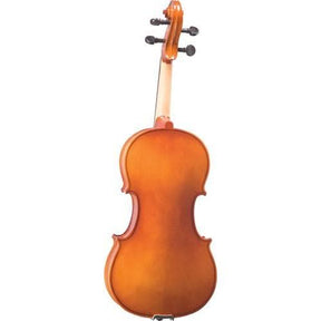 Blemished Franz Hoffmann Etude Viola