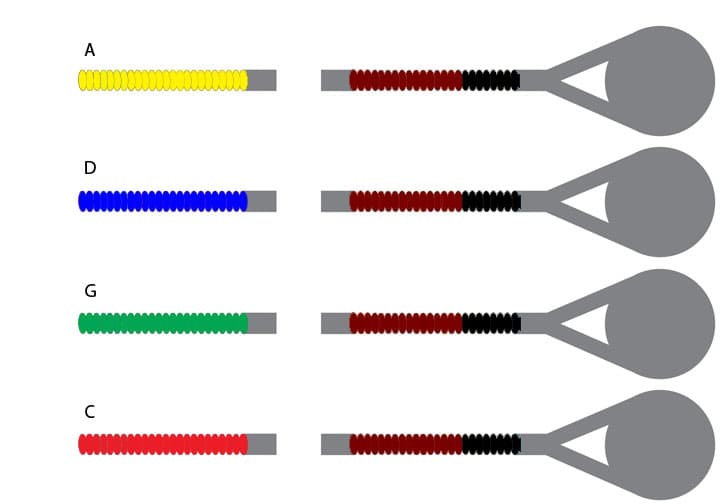 Warchal Karneol Viola String Set & Accessories