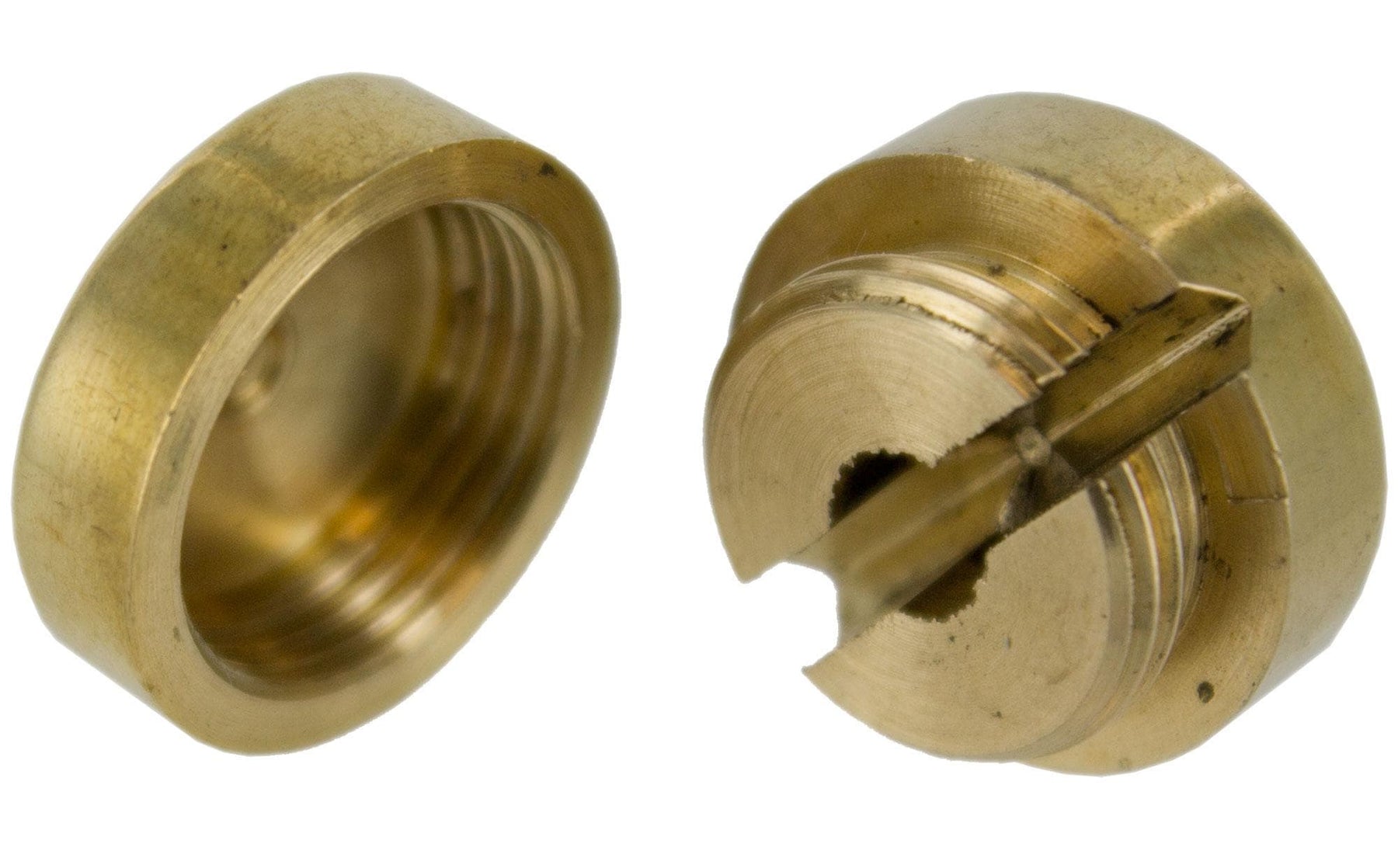 Upgrade Your Strings with Wolf Eliminator & Button Bass